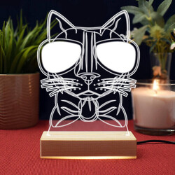  - Cool Cat Tasarım 3d Led Lamba