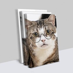 Gözlüklü Kedi 3 Parçalı Kanvas Tablo - Thumbnail