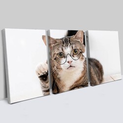 Gözlüklü Kedi 3 Parçalı Kanvas Tablo - Thumbnail