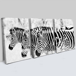  - Zebra Tasarımlı 3 Parça Kanvas Tablo
